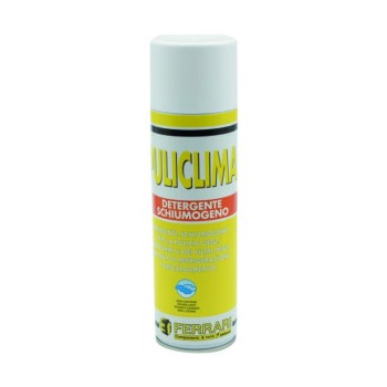 DETERGENTE SPRAY IN SCHIUMA PULICLIMA