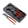 Set pinze knipex Linea Cobra
