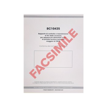 RAPPORTO DI MANUTENZIONE CALDAIA